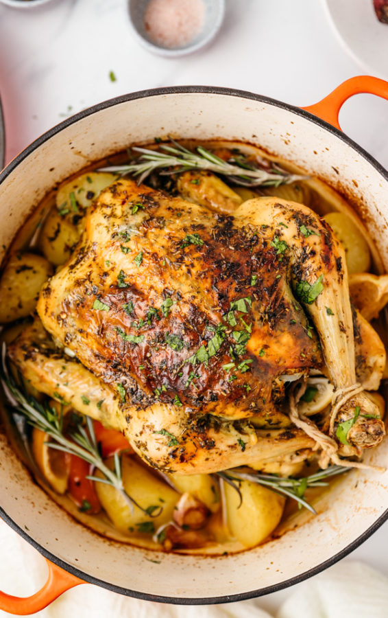roasted dutch oven chicken garnished with fresh rosemary.