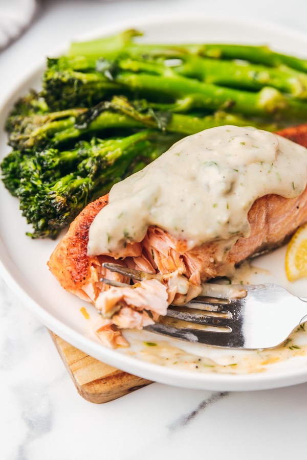 a plate of salmon coverred in creamy sauce and a part flaked with a fork.