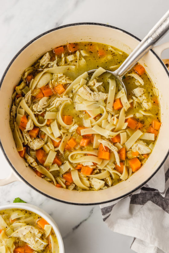 Easy Homemade Chicken Noodle Soup - The Dinner Bite