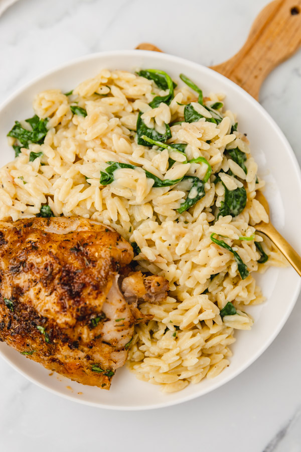 a close shot of a plate of creamy orzo and chicken thigh with a fork.