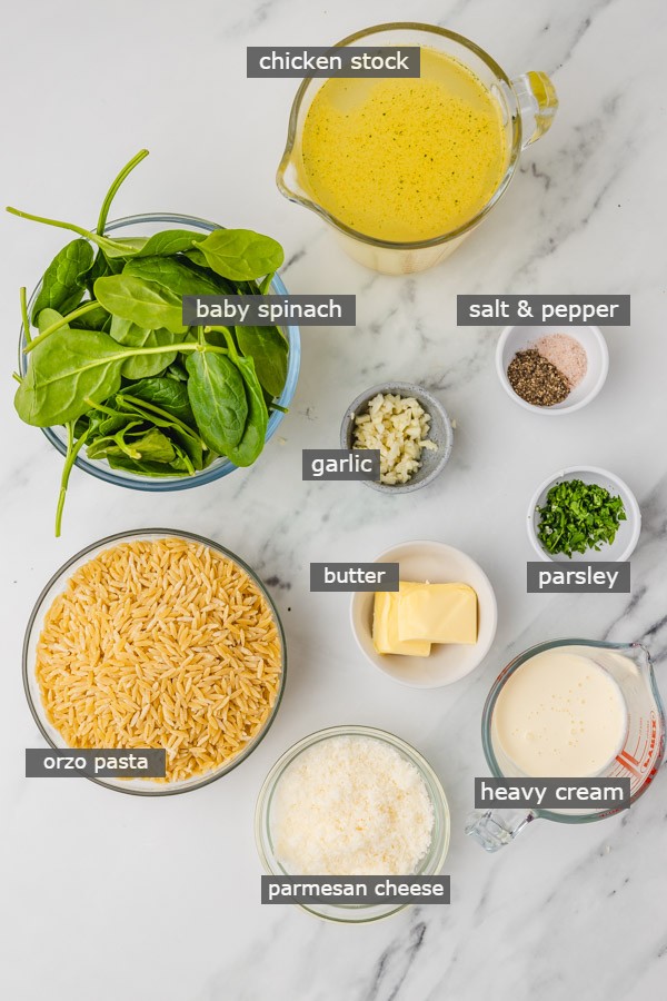 ingredients needed to make parmesan orzo on the counter.