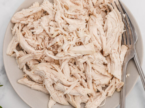 shredded chicken breast on a plate with two forks.