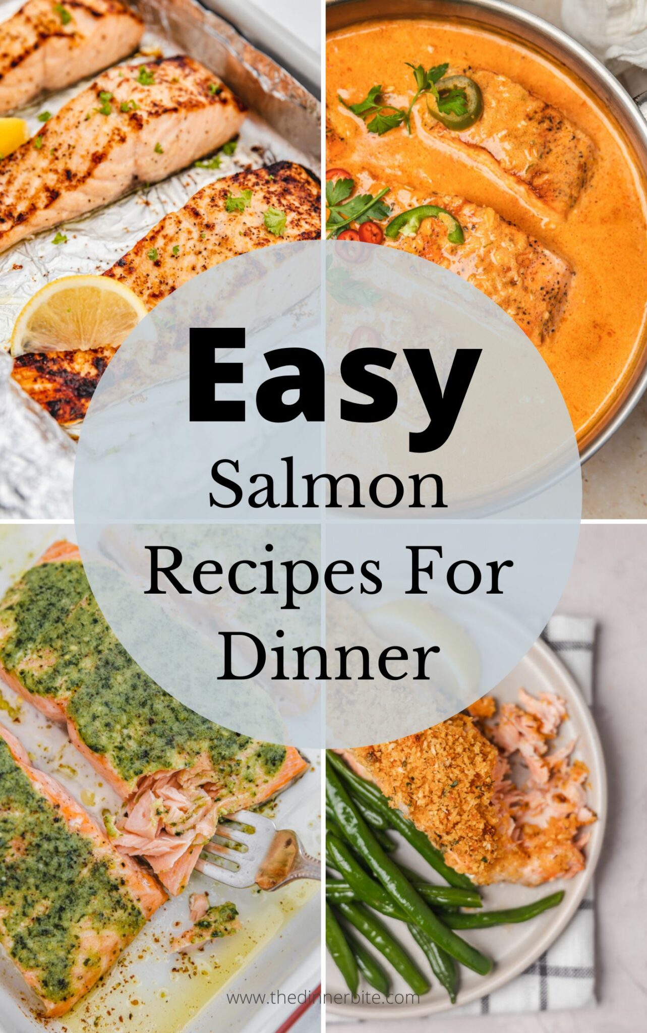 Easy Salmon Recipes For Dinner - The Dinner Bite