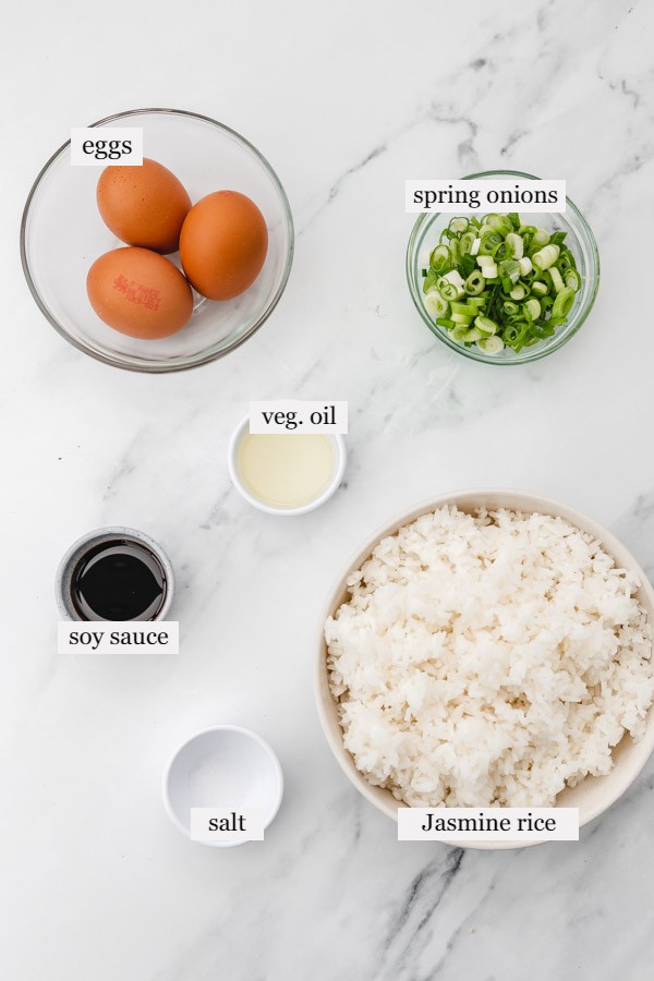 ingredients needed to make egg fried rice.