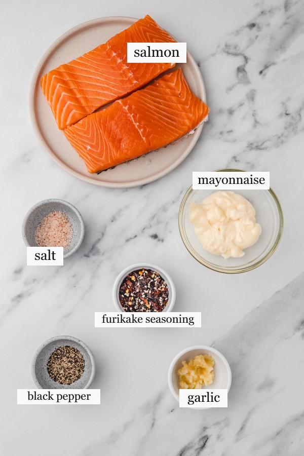 ingredients for baked salmon on a white marble surface.