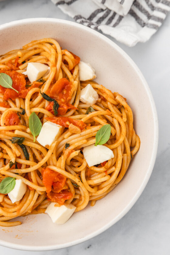 Easy Tomato Basil Pasta Recipe