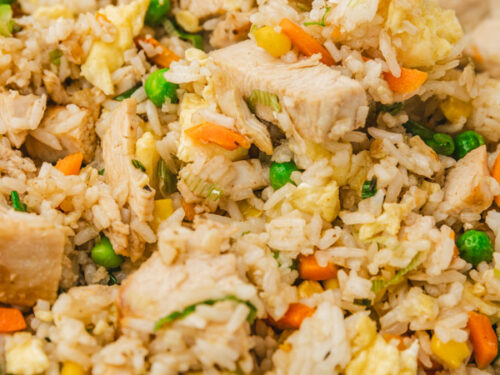 close up of turkey fried rice on a spoon.