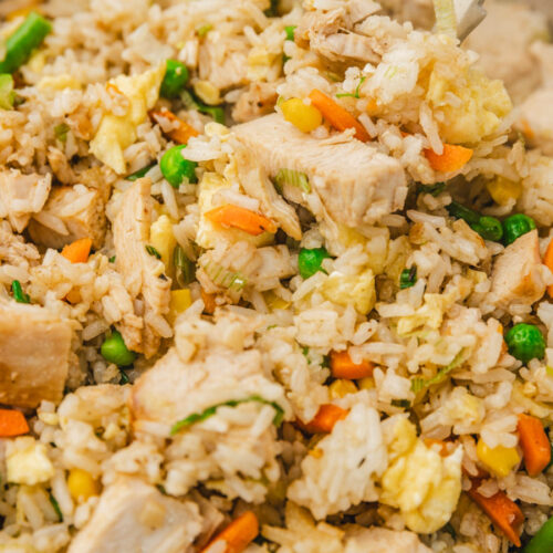 close up of turkey fried rice on a spoon.