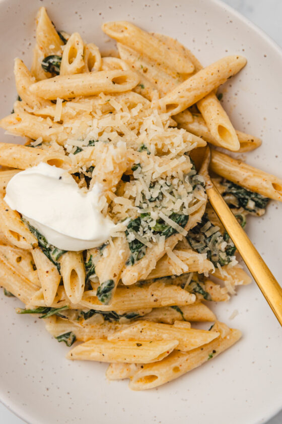 a close up of a a bowl of of pasta with a dollop of sour cream and grated parmesan cheese.