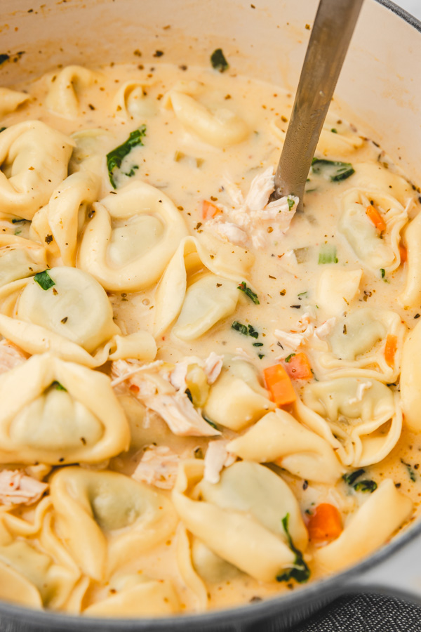 a close up of creamy soup with tortellini in a dutch oven pot.